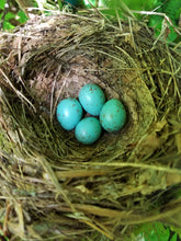 amazonite pendant robins egg blue